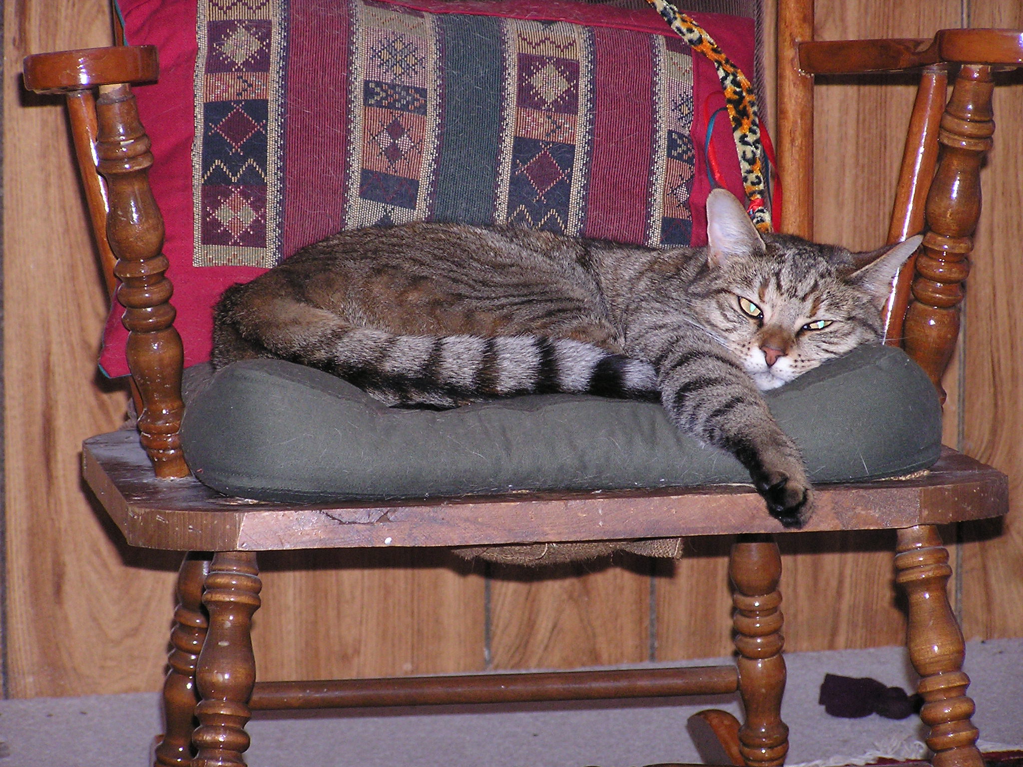 P1010003