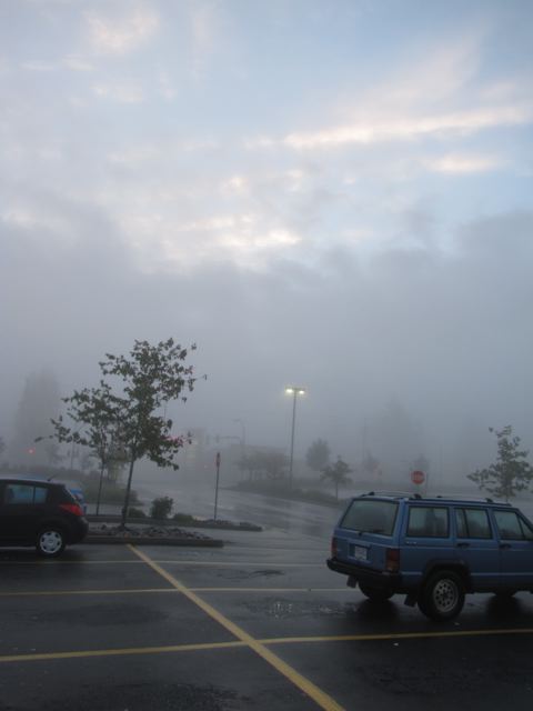 IMG_3754_2
