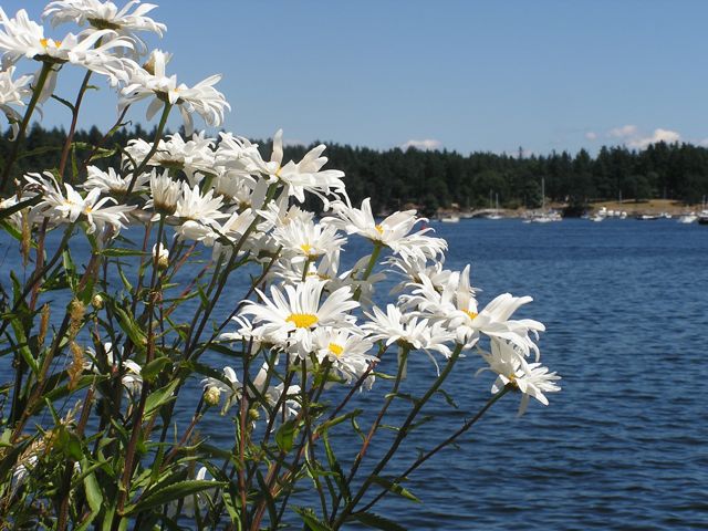 P1010009_3