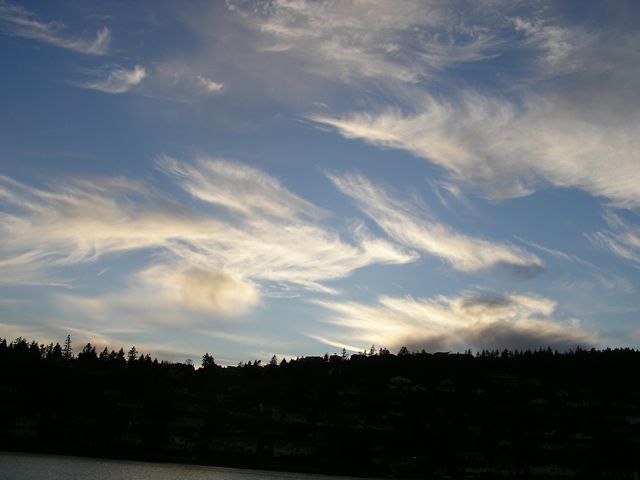 P1010045_3
