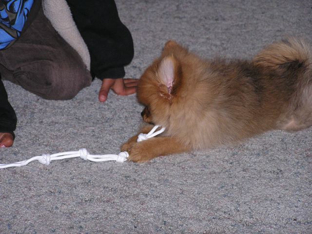 P1010049