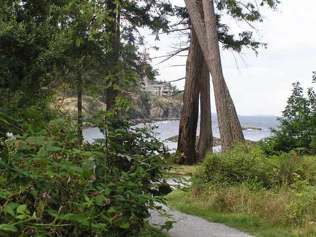 P1010058_3