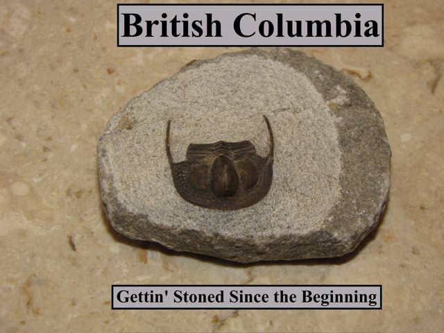 Stoned