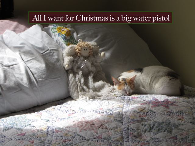 WaterPistol