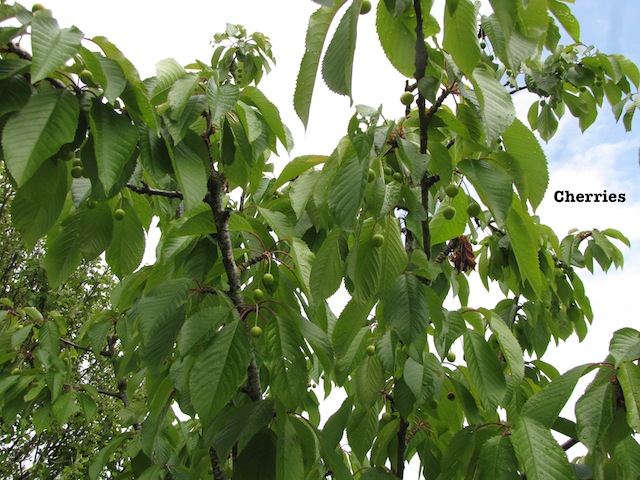 IMG_5760