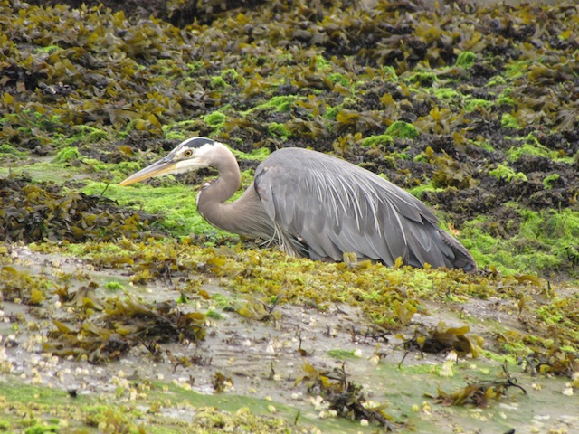 IMG_5944