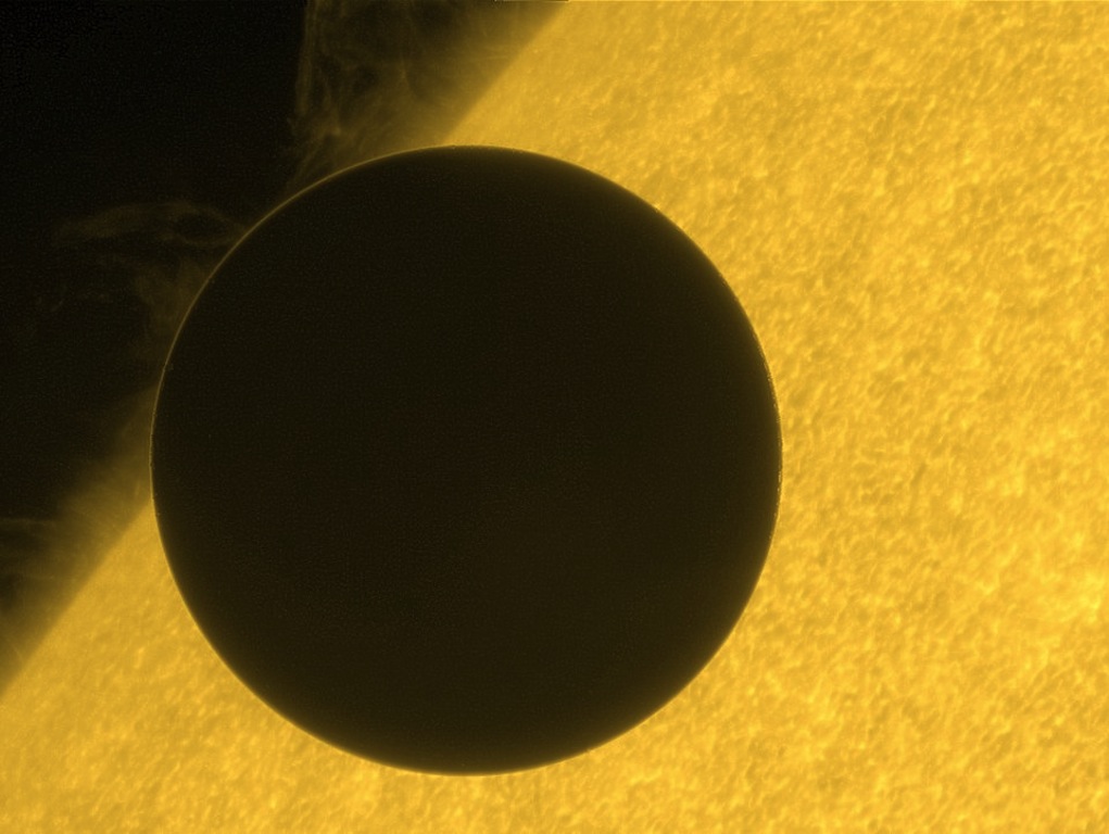 venus