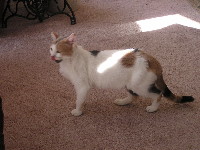 P1010001