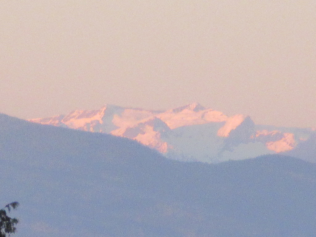 IMG_0096