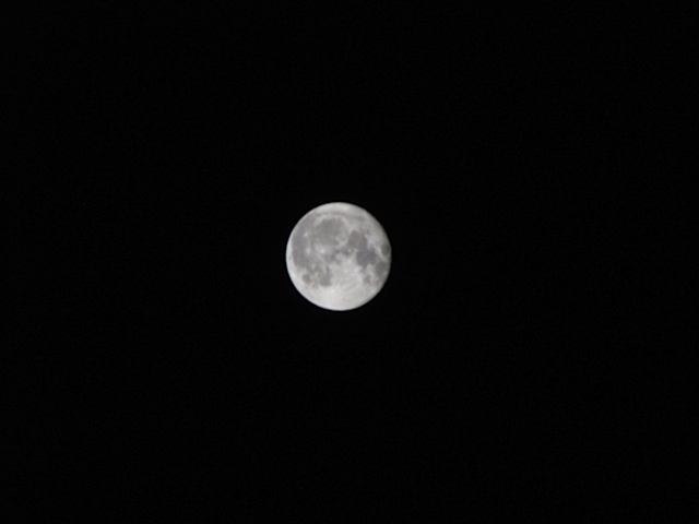 IMG_4228