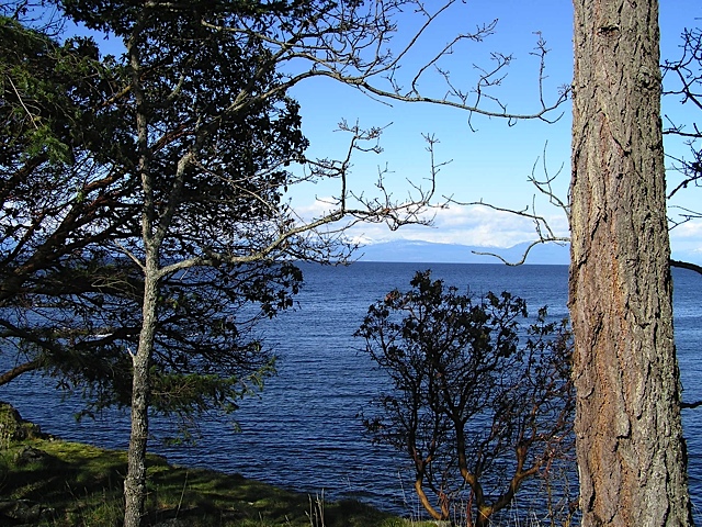 P1010015