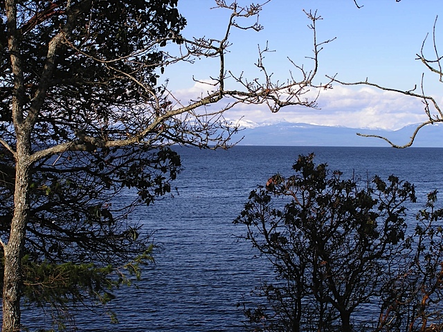P1010016