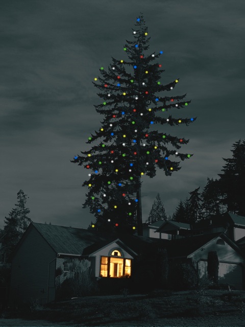 Xmas2007M